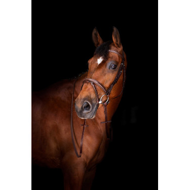 Rendas Hunter Eric Thomas Elite 16 mm Havana Castanho