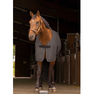 Camisa Equithème Mesclada Cinza mesclado Cinzento