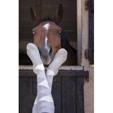 Meias Equithème Girly Cinza / céu Cinzento Meias Equithème Girly Cinza / céu Cinzento