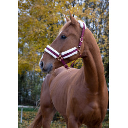 Caveção Norton Conforto Bordéus Bord&amp;ocirc;