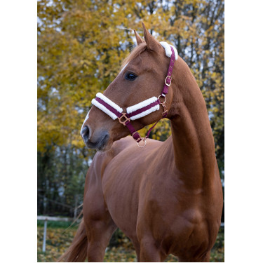 Caveção Norton Conforto Bordéus Bord&amp;ocirc;