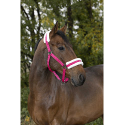 Caveção Norton Conforto Framboesa Vermelho