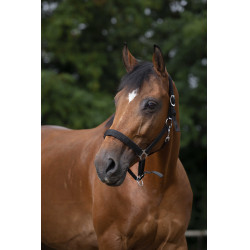 Caveção Norton nylon forrado com neoprene Preto