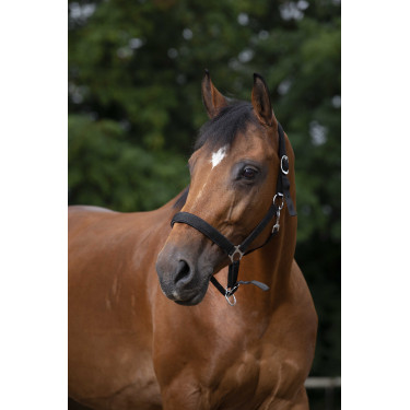 Caveção Norton nylon forrado com neoprene Preto