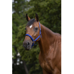 Caveção Norton nylon forrado com neoprene Azul royal Caveção Norton nylon forrado com neoprene Azul royal