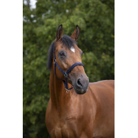 Caveção Norton nylon forrado com neoprene Vermelho