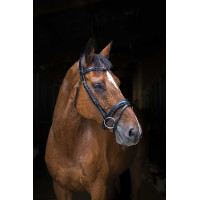 Bridon Eric Thomas Pro Wave Preto