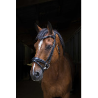 Bridon Eric Thomas Pro Design Preto