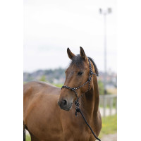 Cabezada etológica Norton + corda Eco Preto / branco / prata