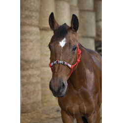 Cabresto etológico Norton Pearl