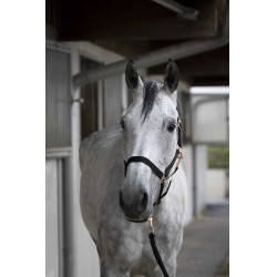 Cabezada + guia Norton Rose gold Preto Cabezada + guia Norton Rose gold Preto