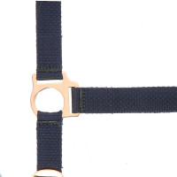 Cabezada + guia Norton Rose gold Preto