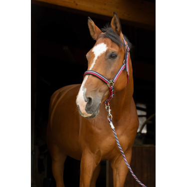 Caveção + guia Norton Brillant Vermelho / marinho / prata