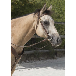 Bridon Westride por Franck Perret Colorado Chocolate Castanho