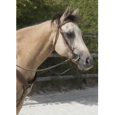 Bridon Westride por Franck Perret Colorado Chocolate Castanho