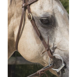 Bridon Westride por Franck Perret Colorado Chocolate Castanho