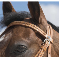 Bridon Westride por Franck Perret Aurora Avelã Castanho