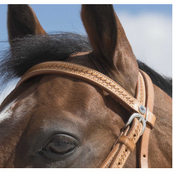 Bridon Westride por Franck Perret Aurora Avelã Castanho