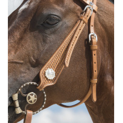 Bridon Westride por Franck Perret Aurora Avelã Castanho