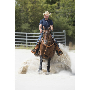 Peitoral Westride by Franck Perret Aurora Avelã Castanho