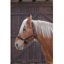 Cabresto Norton Pro para cavalo de tração Preto