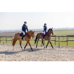 Casaco acolchoado Pro Series Diagonal Azul-marinho Casaco acolchoado Pro Series Diagonal Azul-marinho