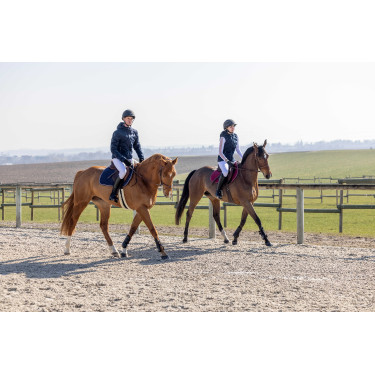 Casaco acolchoado Pro Series Diagonal Azul-marinho Casaco acolchoado Pro Series Diagonal Azul-marinho