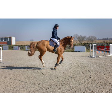 Casaco acolchoado Pro Series Diagonal Azul-marinho Casaco acolchoado Pro Series Diagonal Azul-marinho