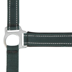 Cabeçada Norton Reflective Verde
