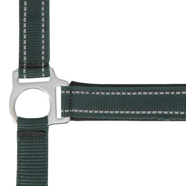 Cabeçada Norton Reflective Verde