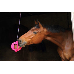 Brinquedo Bizzy Ball Likit Fúcsia Rosa