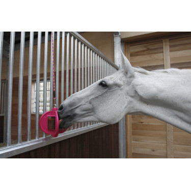 Brinquedo Bizzy Ball Likit Fúcsia Rosa