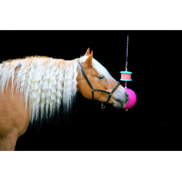 Suporte para pedra de sal Boredom breaker Likit Fúcsia Rosa