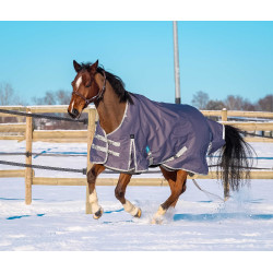 Capa Equithème Tyrex 1200D reciclada  Cinzento-acastanhado Castanho