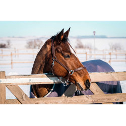 Capa Equithème Tyrex 1200D reciclada  Cinzento-acastanhado Castanho