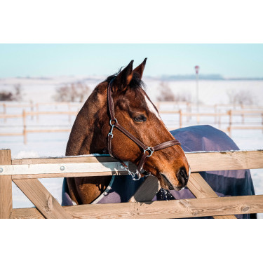 Capa Equithème Tyrex 1200D reciclada  Cinzento-acastanhado Castanho