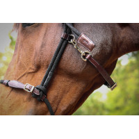 Cabresto Pénélope Etológico Havana / preto Castanho