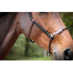 Cabresto Pénélope Etológico Havana / preto Castanho