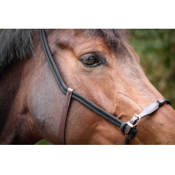 Cabresto Pénélope Etológico Havana / preto Castanho