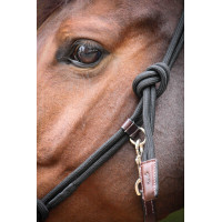 Cabresto Pénélope Etológico Havana Castanho Cabresto Pénélope Etológico Havana Castanho