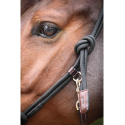 Cabresto Pénélope Etológico Havana / preto Castanho