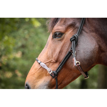 Cabresto Pénélope Etológico Havana / preto Castanho