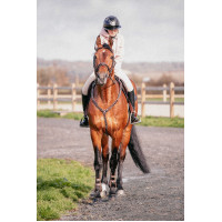 Martin collier Penélope Havana Castanho Martin collier Penélope Havana Castanho