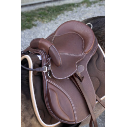 Sela bardette Guy Cantin Evolution educativa Havana Castanho