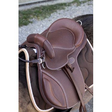 Sela bardette Guy Cantin Evolution educativa Havana Castanho