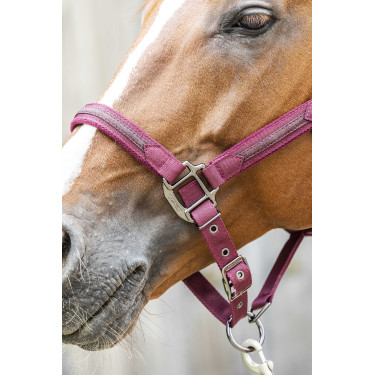 Cabresto Lami-Cell Sparkling Bordéus Bordô Cabresto Lami-Cell Sparkling Bordéus Bordô