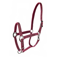 Cabresto Lami-Cell Sparkling Bordéus Bord&amp;ocirc;