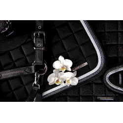 Cabresto Lami-Cell Sparkling Preto