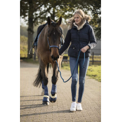 Sinos Lami-Cell LC Azul atol