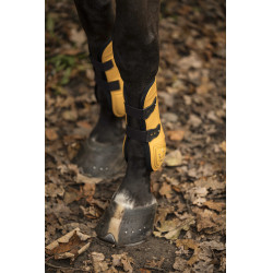 Conjunto de caneleiras e protetores de boleto Lami-Cell LC Mel / dourado Amarelo